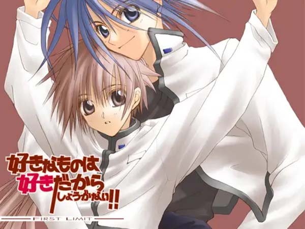 【Luna预翻译】喜欢就是喜欢!! FIRST LIMIT(ps2日文)